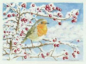 Bordewich: Robin on Hawthorn Branch with Berries in Snow