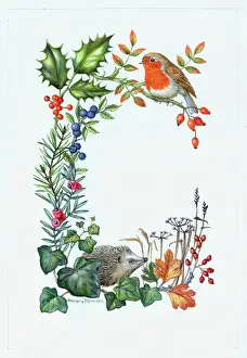 Hedgehogs: Robin and Hedgehog ? with holly, ivy etc