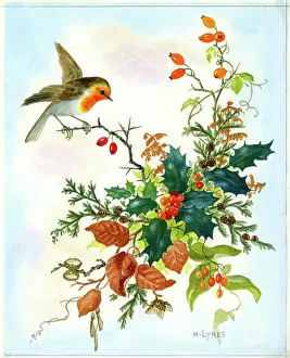 Lynes: Robin and hips and other winter foliage