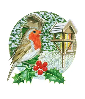 Ivy Covered: Robin on holly with bird table
