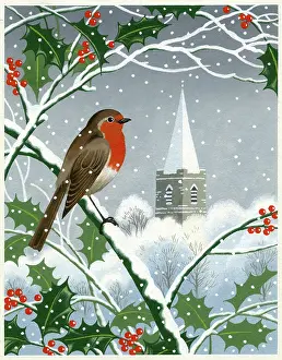 Bough: Robin on a holly bough in the snow