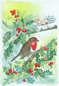 Gilda: Robin on Holly Branch