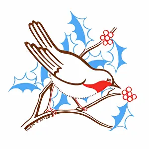 Isobel: Robin on a holly branch with berries