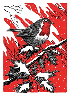Samaraweera: Robin on a Holly Branch in the snow