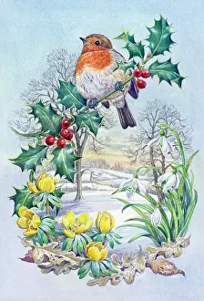 Snowdrops: Robin on holly branch with snowdrops etc