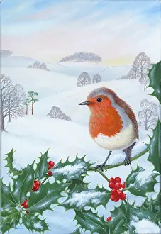 Bowes: Robin on a Holly Branch with Snowy Landscape