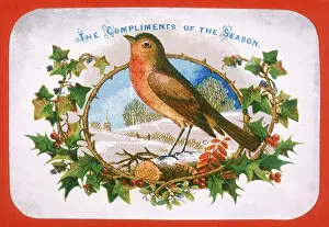 Jane Gordon Clark: Robin and holly - Christmas Card