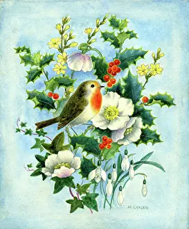 Jessamine: Robin, holly, Christmas roses, snowdrops