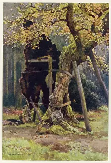 Illegally: ROBIN HOOD'S LARDER