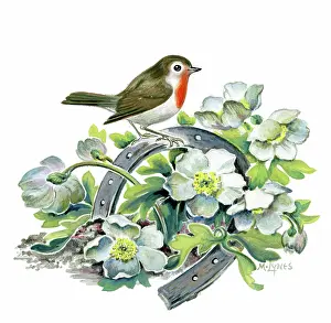 Lynes: Robin on Horseshoe with Christmas roses