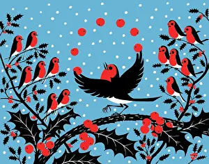 Tricks: Robin Juggling with Seven Berries