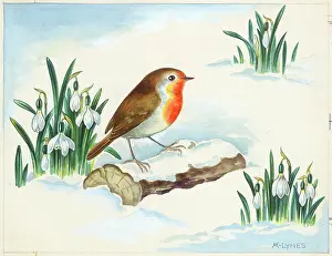 Lynes: Robin on a log in the snow