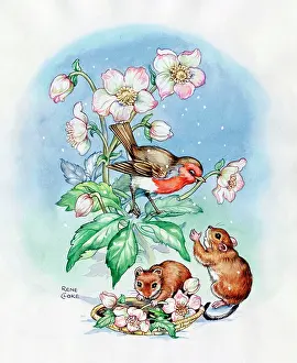 Cloke: Robin, Mice and Christmas roses