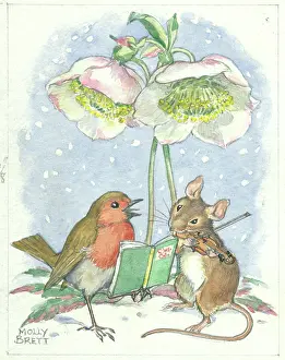 Helleborus: Robin and mouse under Christmas rose