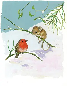 Matthes: Robin and mouse on twigs