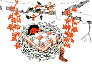 Nests: Robin in nest with Christmas stocking