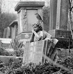 Antony: A robin perched on the sculpture of a child - West Cemetery