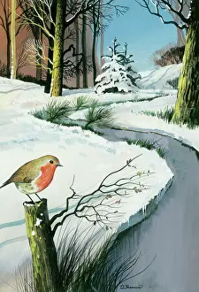 Bids: Robin on a Post by a Stream
