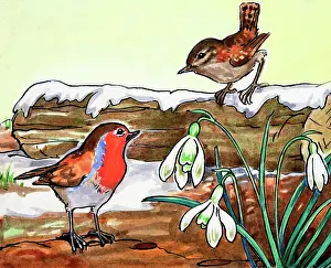 Redbreast: Robin Redbreast and Jenny Wren