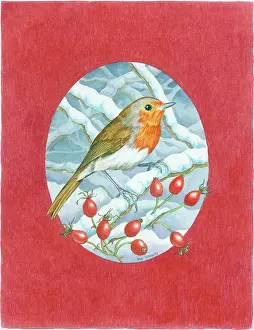 Snow Covered: Robin with Rose Hips - Oval design