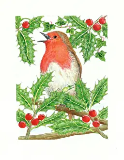 Bradbury: Robin Singing with Holly and Berries