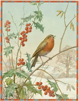 Twigs: A robin sitting on a branch in the snow