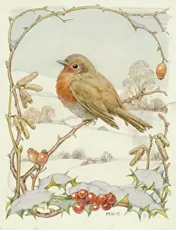 Twigs: A robin sitting on a branch in a winter scene
