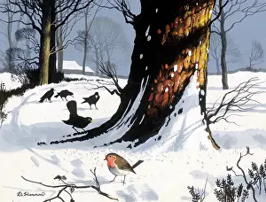 Crows: Robin in the Snow