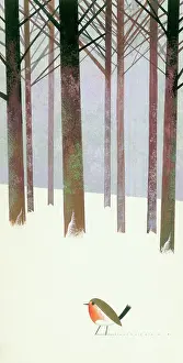Shannon: Robin in the Snow