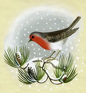 The Medici Society Ltd.: Robin on a snow-covered pine bough