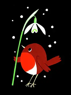Champness: Robin and Snowdrop