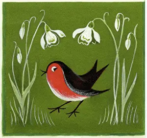 Brough: Robin and snowdrops