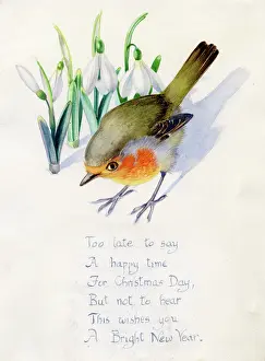 Heda: Robin with Snowdrops