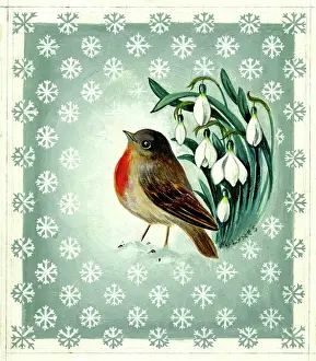 Snowflakes: Robin and snowdrops with snowflakes