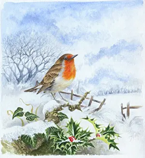 Comerford: Robin on a snowy branch