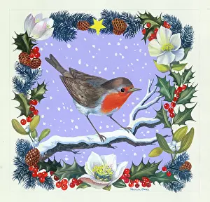 Caley: Robin on a Snowy Branch