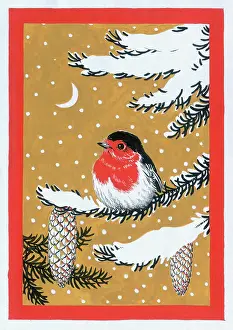 Margery: Robin on a Snowy Branch