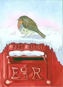 Postbox: Robin on a snowy ER Postbox