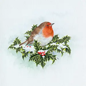 Comerford: Robin on snowy holly
