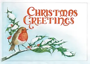 Bough: Robin on a snowy holly bough