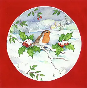 Flavell: Robin on Snowy Holly Branch