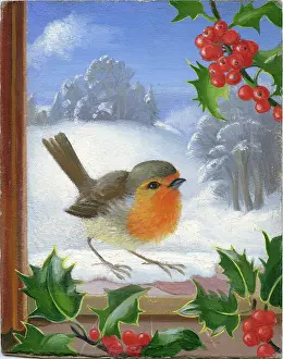Sill: Robin on a snowy window sill