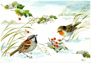 Lynes: Robin and Sparrow in the snow