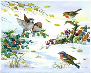 Lynes: Robin, two sparrows and chaffinch in snow
