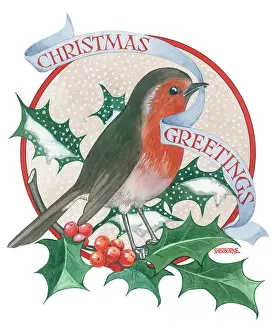 Sprig: Robin on a sprig of Holly