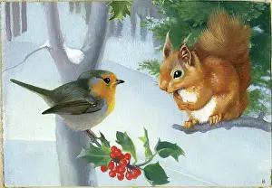 Heda: Robin and Squirrel with Holly