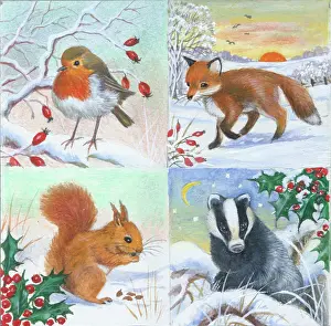 Tags: Robin, Squirrel and holly, badger and holly