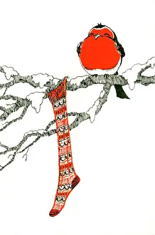 Robin with stocking