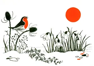 Robin on Teazle