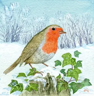 Cute Christmas: Robin on a tree stump with ivy in the snow